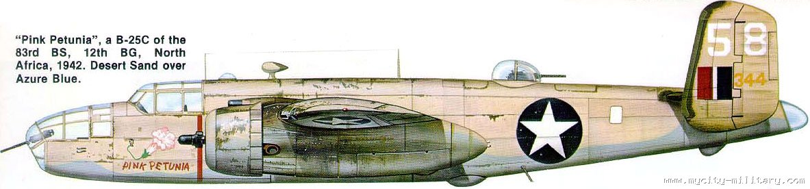 D c b a 25. North American b-25 Mitchell Africa. В-25 Митчелл камуфляж. В-25 Митчелл окраски. Палитра крыла - самолет b 25.