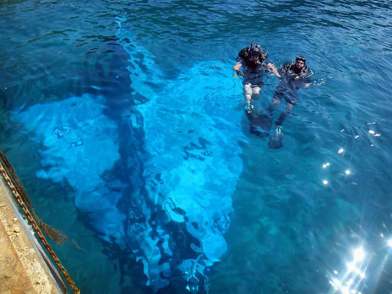 Водная 7. Мираж Эгейского моря. Фото семёрки под водой. Gl 7 в воде. L7 в воде.